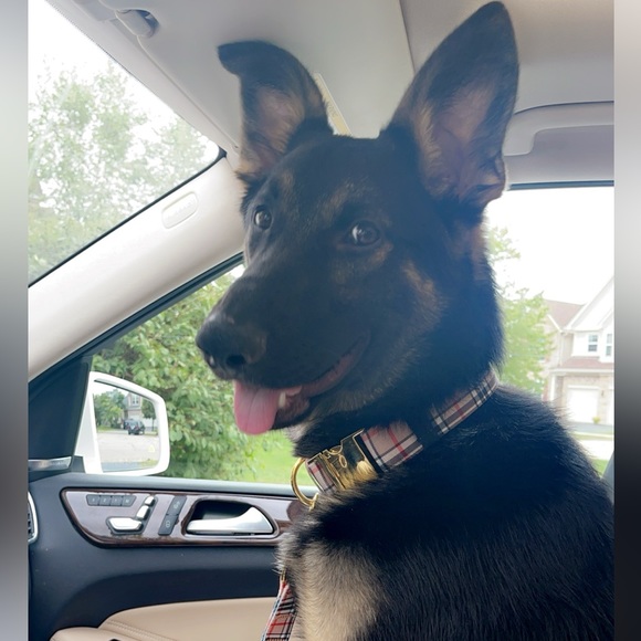 🫶🏻@mari916 is live🫶🏻 sharing yours and mine let’s shop and chat! - Picture 6 of 6